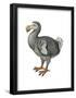 Dodo (Raphus Cucullatus), Birds-Encyclopaedia Britannica-Framed Poster