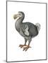 Dodo (Raphus Cucullatus), Birds-Encyclopaedia Britannica-Mounted Poster