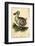 Dodo-Harrison Cluse-Framed Photographic Print