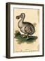 Dodo-Harrison Cluse-Framed Photographic Print