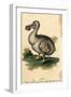 Dodo-Harrison Cluse-Framed Photographic Print