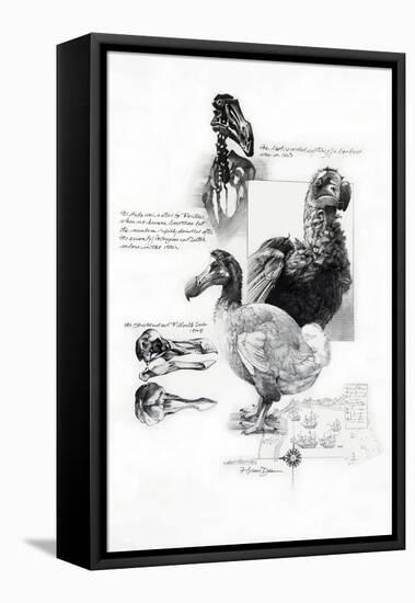 DODO-BRUCE DEAN-Framed Stretched Canvas