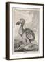 Dodo-null-Framed Art Print