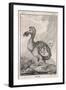 Dodo-null-Framed Art Print