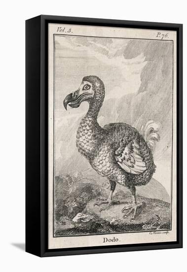 Dodo-null-Framed Stretched Canvas
