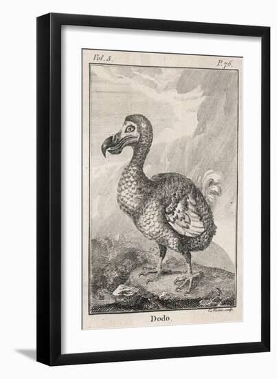 Dodo-null-Framed Art Print