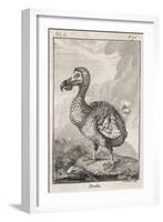 Dodo-null-Framed Art Print