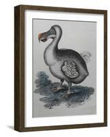 Dodo-null-Framed Giclee Print