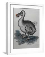 Dodo-null-Framed Giclee Print