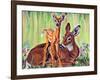 "Doe and Fawn in Forest," June 1, 1940-Paul Bransom-Framed Giclee Print