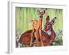 "Doe and Fawn in Forest," June 1, 1940-Paul Bransom-Framed Giclee Print