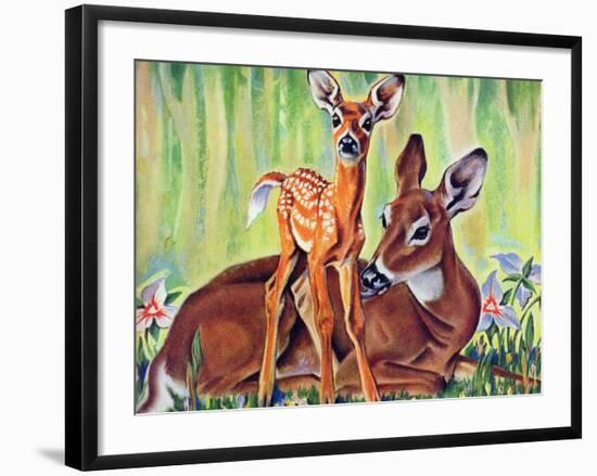 "Doe and Fawn in Forest," June 1, 1940-Paul Bransom-Framed Giclee Print