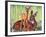 "Doe and Fawn in Forest," June 1, 1940-Paul Bransom-Framed Giclee Print