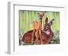 "Doe and Fawn in Forest," June 1, 1940-Paul Bransom-Framed Giclee Print