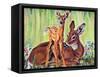 "Doe and Fawn in Forest," June 1, 1940-Paul Bransom-Framed Stretched Canvas