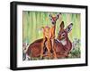 "Doe and Fawn in Forest," June 1, 1940-Paul Bransom-Framed Giclee Print