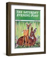 "Doe and Fawn in Forest," Saturday Evening Post Cover, June 1, 1940-Paul Bransom-Framed Giclee Print