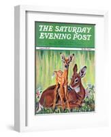 "Doe and Fawn in Forest," Saturday Evening Post Cover, June 1, 1940-Paul Bransom-Framed Giclee Print