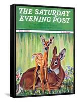 "Doe and Fawn in Forest," Saturday Evening Post Cover, June 1, 1940-Paul Bransom-Framed Stretched Canvas