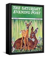 "Doe and Fawn in Forest," Saturday Evening Post Cover, June 1, 1940-Paul Bransom-Framed Stretched Canvas