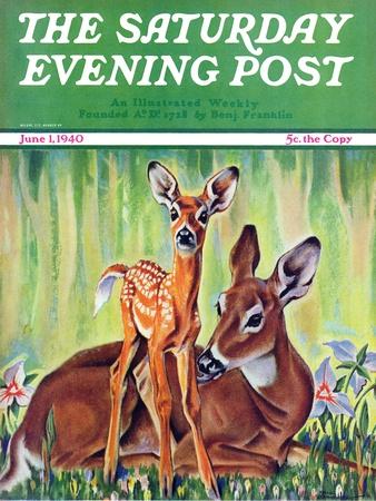 https://imgc.allpostersimages.com/img/posters/doe-and-fawn-in-forest-saturday-evening-post-cover-june-1-1940_u-L-Q1JKTOK0.jpg?artPerspective=n