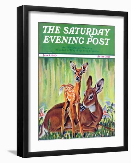 "Doe and Fawn in Forest," Saturday Evening Post Cover, June 1, 1940-Paul Bransom-Framed Giclee Print