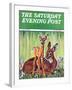 "Doe and Fawn in Forest," Saturday Evening Post Cover, June 1, 1940-Paul Bransom-Framed Giclee Print