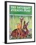 "Doe and Fawn in Forest," Saturday Evening Post Cover, June 1, 1940-Paul Bransom-Framed Giclee Print