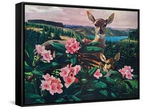 Doe and Fawn-Stan Galli-Framed Stretched Canvas