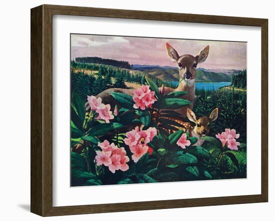 Doe and Fawn-Stan Galli-Framed Giclee Print