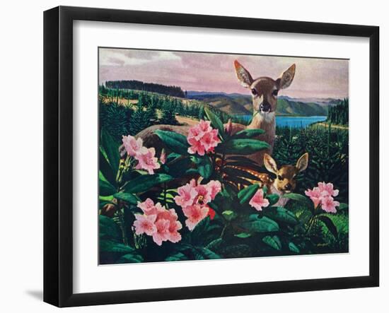 Doe and Fawn-Stan Galli-Framed Giclee Print