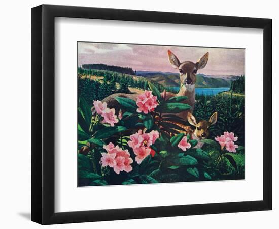 Doe and Fawn-Stan Galli-Framed Premium Giclee Print