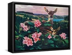 Doe and Fawn-Stan Galli-Framed Stretched Canvas