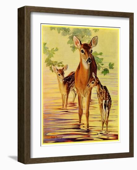 "Doe and Fawns,"April 29, 1933-Jack Murray-Framed Giclee Print