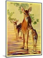 "Doe and Fawns,"April 29, 1933-Jack Murray-Mounted Giclee Print
