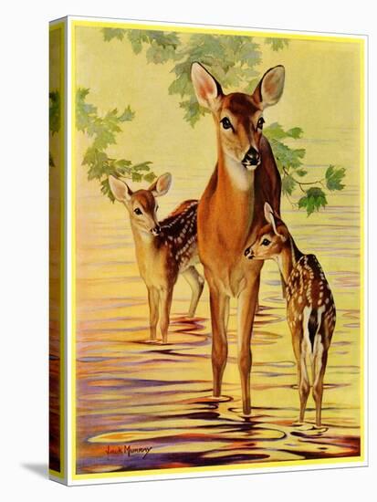 "Doe and Fawns,"April 29, 1933-Jack Murray-Stretched Canvas