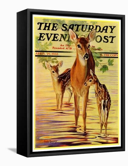 "Doe and Fawns," Saturday Evening Post Cover, April 29, 1933-Jack Murray-Framed Stretched Canvas