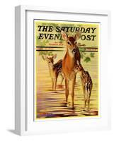 "Doe and Fawns," Saturday Evening Post Cover, April 29, 1933-Jack Murray-Framed Premium Giclee Print