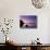 Doe Bay Dawn, Orcas Island, Washington, USA-Rob Tilley-Stretched Canvas displayed on a wall