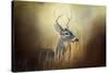 Doe Chasing-Jai Johnson-Stretched Canvas