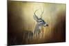 Doe Chasing-Jai Johnson-Mounted Giclee Print