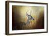 Doe Chasing-Jai Johnson-Framed Giclee Print