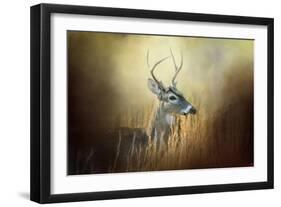 Doe Chasing-Jai Johnson-Framed Giclee Print