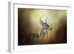 Doe Chasing-Jai Johnson-Framed Giclee Print