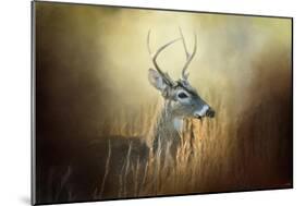 Doe Chasing-Jai Johnson-Mounted Giclee Print