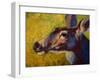 Doe Darling-Marion Rose-Framed Giclee Print