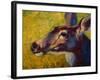 Doe Darling-Marion Rose-Framed Giclee Print