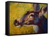 Doe Darling-Marion Rose-Framed Stretched Canvas