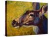 Doe Darling-Marion Rose-Stretched Canvas