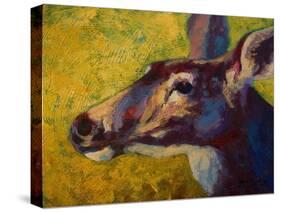 Doe Darling-Marion Rose-Stretched Canvas